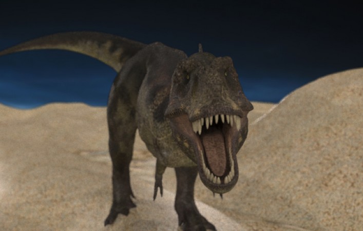 Deze 3D afbeelding van een Tyranosaurus Rex heb ik gemaakt met behulp van Carrara Pro 7.